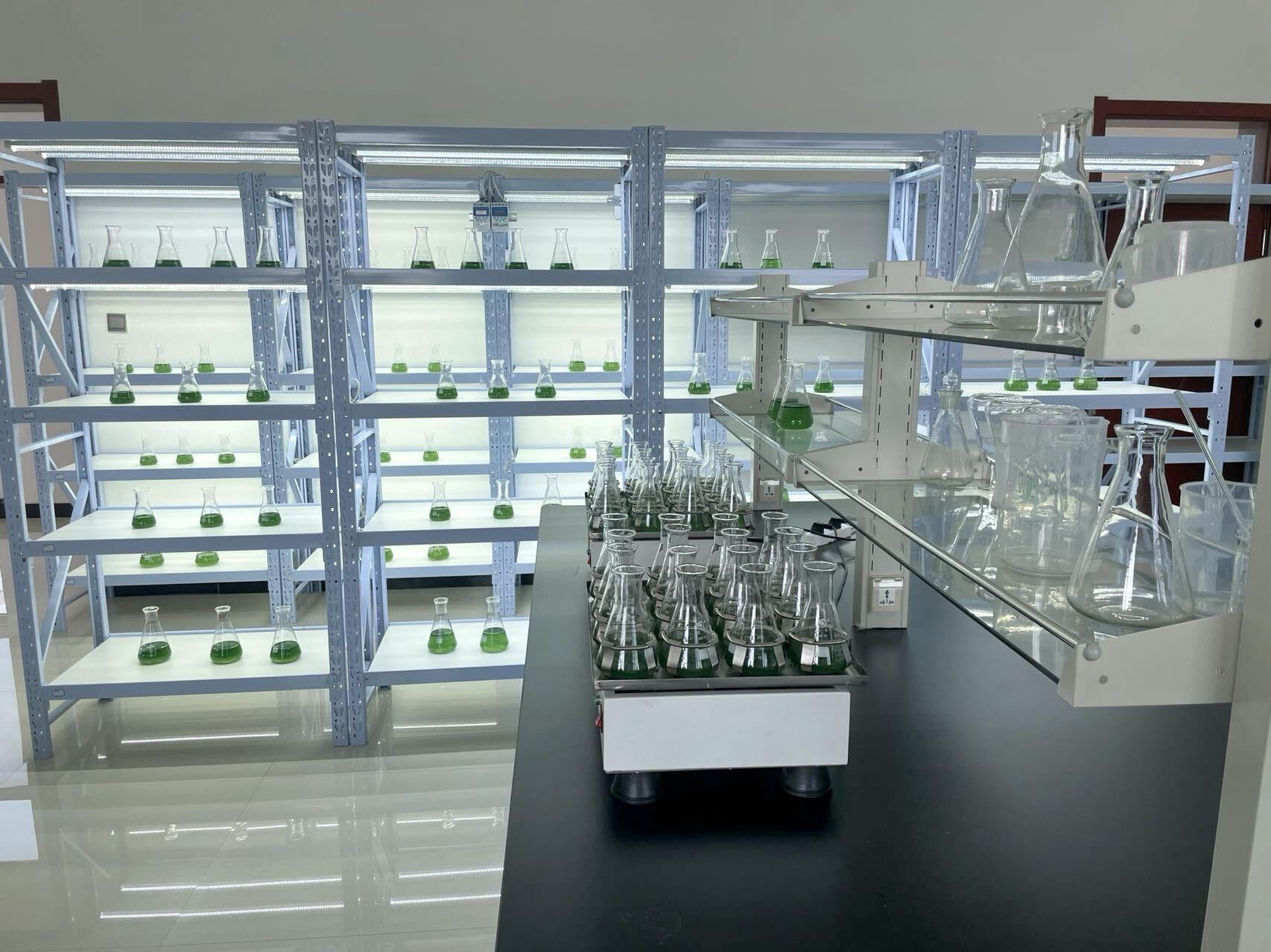 Algae breeding room.jpg